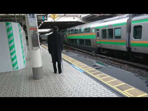 電車 子供向け 上野駅ホーム電車がいっぱい