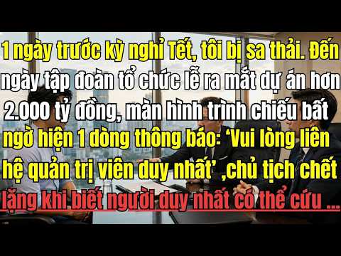 1ngày trước kỳ nghỉ Tết,tôi bị sa thải.Đến ngày tổ chức lễ ra mắt dự án màn hình trình chiếu bất ngờ