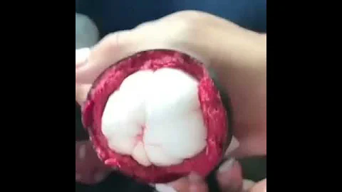 Полезные свойства Мангостина