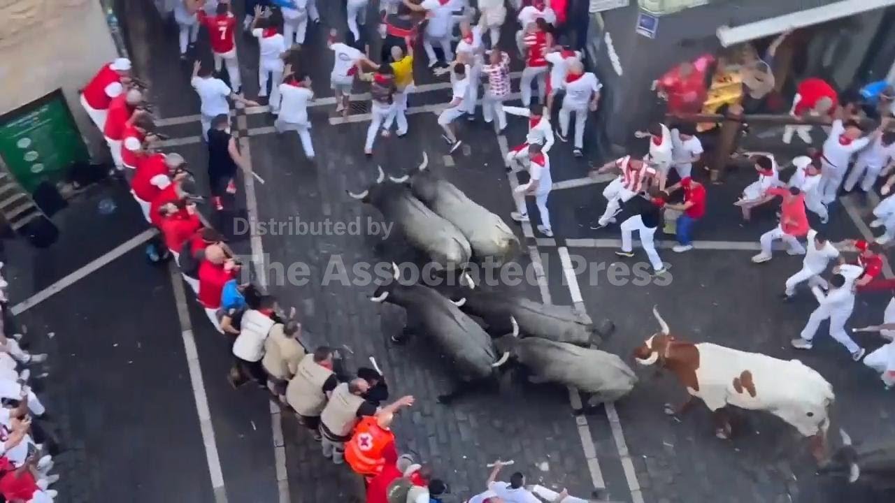 People run with charging bulls at Pamplona's San Fermín festival
