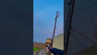 Incredible Accuracy Shot🐦‍⬛ #Slingshot #BirdShot #PerfectAim #Accuracy #Hunting#shorts #viral#short