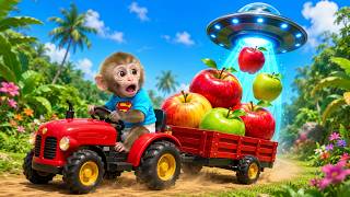 Little monkey JoJo drives a red tractor and finds a UFO taking his apples 🐒🚜🍎