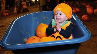 Tulleys Pumpkin Nights 2022 Advert 🌙