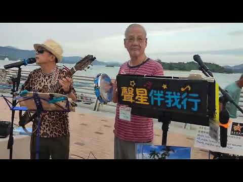 蔡楓華-倩影ver.2 cover