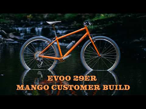 Mango EVOO 29er build