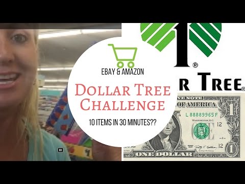 Dollar Tree Challenge  Can I find 10 profitable items to sell on  and   in 30 minutes? 