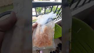 #IFB fresh catch prawn