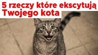 TE RZECZY CIESZĄ TWOJEGO KOTA by Kocie Sprawy 589 views 5 months ago 1 minute, 32 seconds