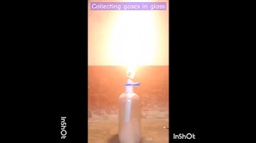 collection of gases in glass#shorts#viral#video#
