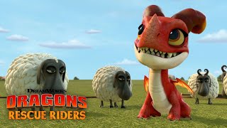 Befriending a Fire Dragon | DRAGONS RESCUE RIDERS