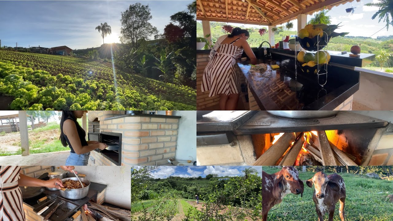 AMANHECER NA ROÇA NÃO TEM PREÇO 🙌🌞👨‍🌾comida no fogão a lenha 🪵 Nossa rotina 
