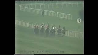 1984 Nottingham Maiden Stakes Slip Anchor