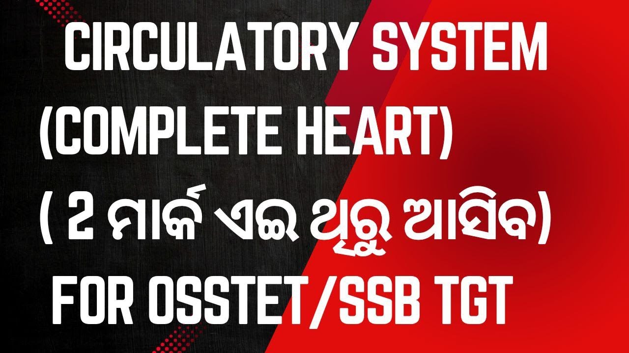 PHYSICAL EDUCATION CLASSES FOR SSB TGT/OSSTET]CIRCULATORY SYSTEM - YouTube