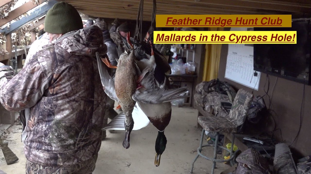 Кряквы в «Кипарисовой норе» со спущенными трусиками!