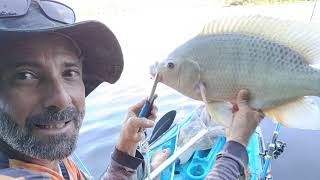 Pescaria de tilapia na lagoa do indaia