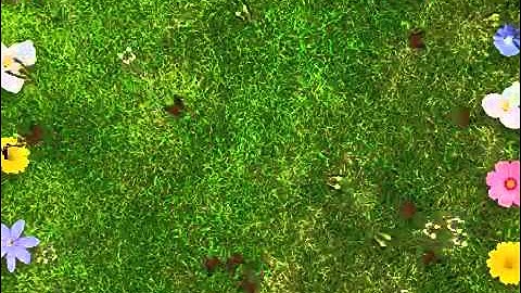 Interactive Butterflies Effect floor ( Sàn tương tác)