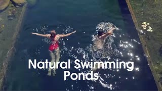 Quiet Nature - Natural Swimming Ponds