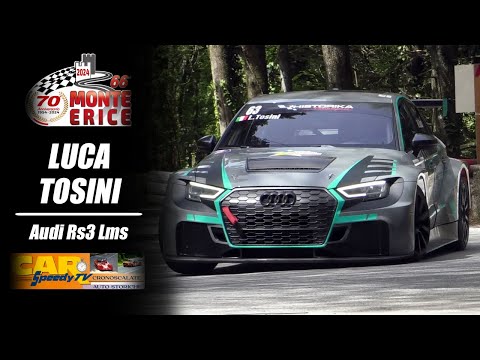 Monte Erice 2024 || Luca Tosini || Audi RS3 LMS
