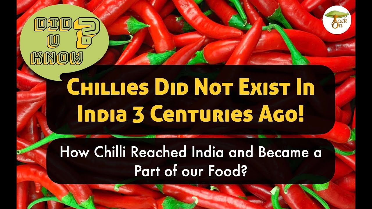 How Chilli Came To India? Food History Food Diaries Food Culture