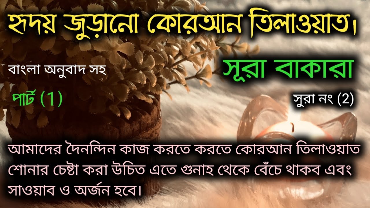 surah baqarah with bangla translation surah baqarah bangla anubad