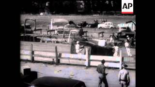 STUNTS - HELL DRIVERS