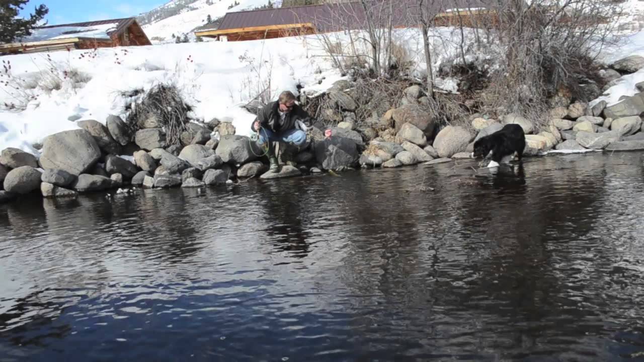 Kelly Galloup Midge Fishing on the Upper Madison YouTube