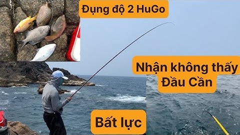 Đụng Độ Hugo, Câu Cá Biển Tự Nhiên, Câu Ghềnh. Cá Dìa, Cá Tà Ma, Cá Trang, Cá Mó. TÝ FISHING.
