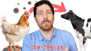 Flu the Coop: Bird Flu Jumps to Cows and Infects Man by Mic the Vegan 11,192 views 2 days ago 14 minutes, 45 seconds