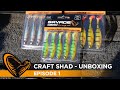 Craft shad 12  unboxing finesse fishing verticale drop shot