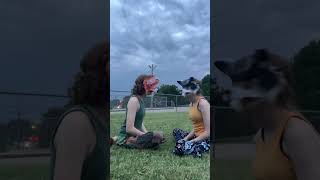 You Cant Chose To Be A Therian