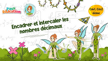 Encadrer et intercaler les nombres décimaux Cm1 Cm2 6ème Fée des Maths Leçon, Exercices, Evaluations