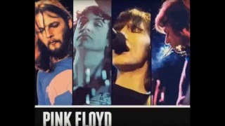 Pink Floyd  - 03 - Dogs [Live HD SUP+]