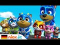 PAW Patrol | Die Superwelpen zur Rettung! | Nick Jr. Deutschland