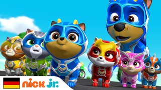 PAW Patrol | Die Superwelpen zur Rettung! | Nick Jr. Deutschland