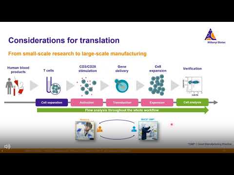 Thinking translational: Things