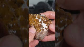 The best agate I've ever cut!