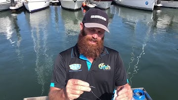 Fishing tips on catching Mulloway/ Jewfish/ Chrome Ghost in the Hunter River using live bait.