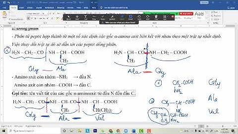 Tính chất hóa học của peptit và protein năm 2024