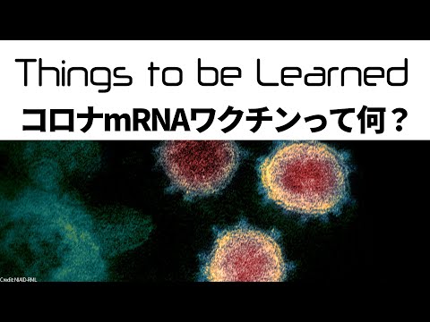 【解説】コロナ「mRNA」ワクチンってなに？【COVID-19】【生物学】