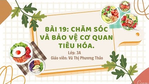 TNXH lớp 3 Bài 19: Chăm sóc và bảo vệ cơ quan tiêu hoá (Bộ sách Kết nối tri thức với cuộc sống)