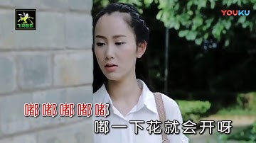 zui ba du du 嘴巴嘟嘟（刘子璇演唱  MTV版） 1080