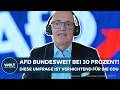UMFRAGE: AfD bei 30 Prozent | CDU verliert den „Status als Volkspartei“! Insa-Chef wird deutlich