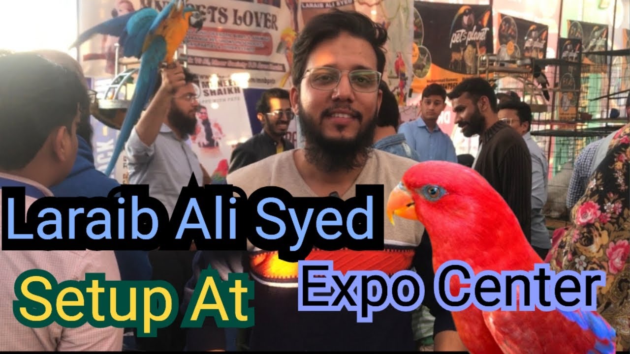 LARAIB ALI SETUP AT EXPO CENTER | EXPO CENTER BIRDS EXHIBITION ON 17 ...