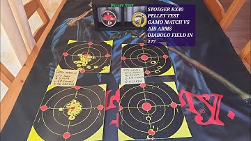 Pellettest Gamo Match vs Air Arms Diablo Field in 177 Stoeger RX40#2025 #airrifleshooting