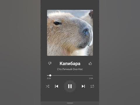 Капибаоа - YouTube