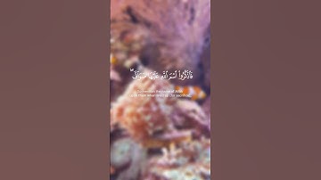 - والبدن جعلناها لكم من شعائر الله - تلاوة عطرة للقارئ الشيخ ياسر الدوسري