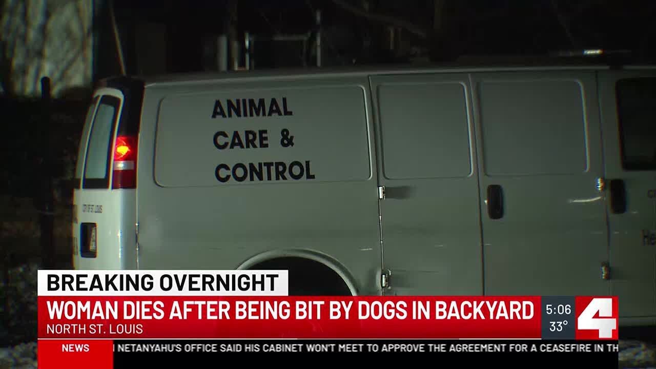 Woman dies after being mauled by dog in north St. Louis - YouTube