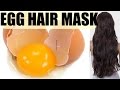 EGG HAIR MASK For DRY FRIZZY HAIR and FAST HAIR GROWTH | SuperPrincessjo