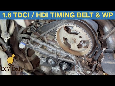 FORD 1.6 TDCI / PSA 1.6 HDI Timing belt and water pump replacement 2012  Cmax - YouTube