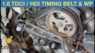 FORD 1.6 TDCI / PSA 1.6 HDI Timing belt and water pump replacement 2012 Cmax